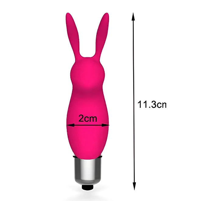 Mini Bullet