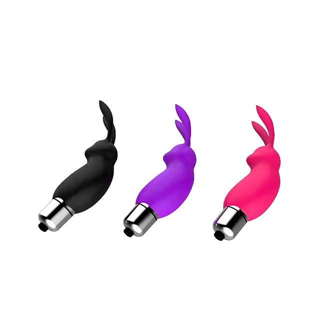 Mini Bullet