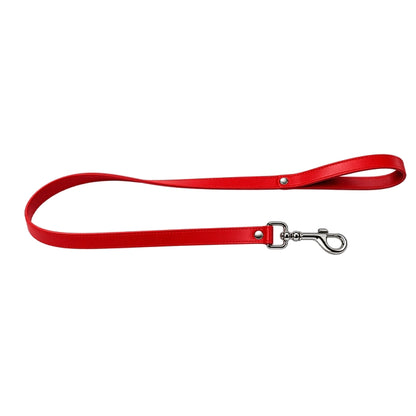 Dog Leash And Collar