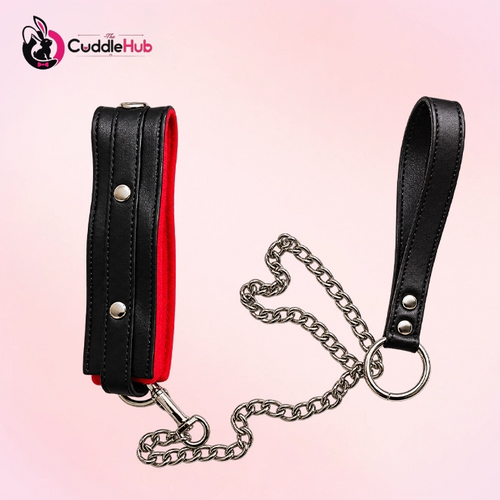 Collar And Chain Leash