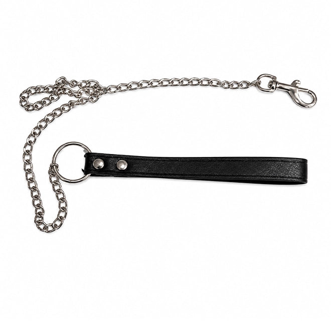Collar And Chain Leash
