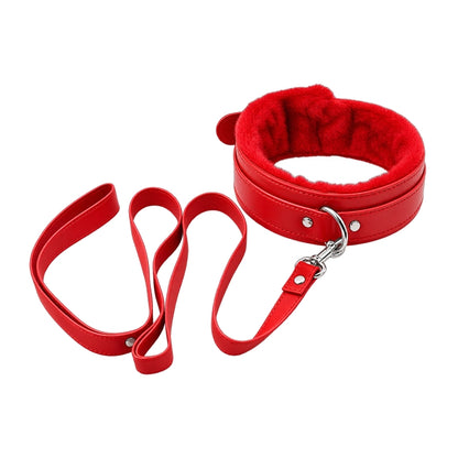 Dog Leash And Collar