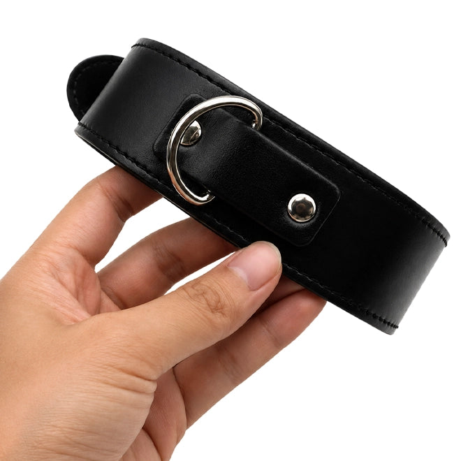 Collar And Leash