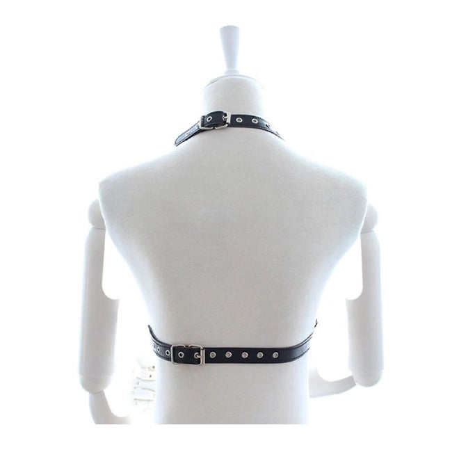 Full Body Harness