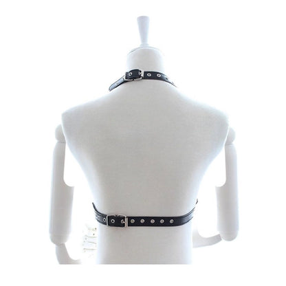 Full Body Harness