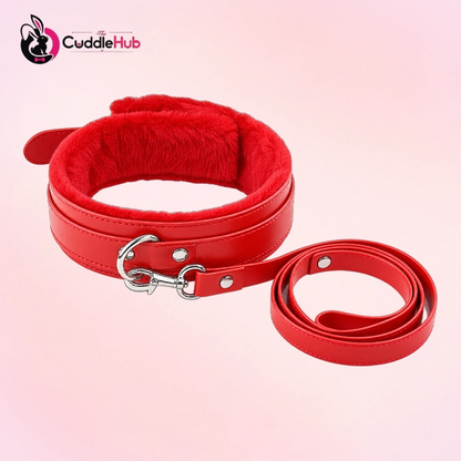 Dog Leash And Collar