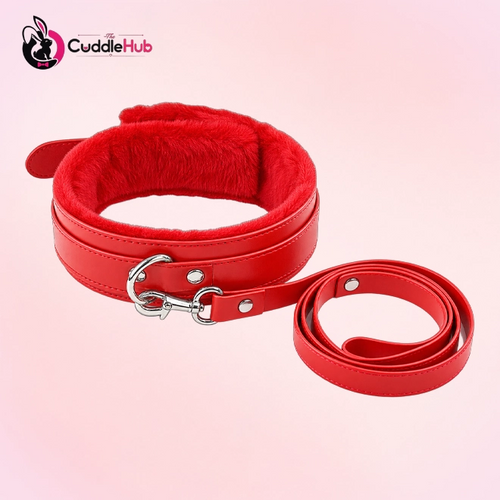 Dog Leash And Collar