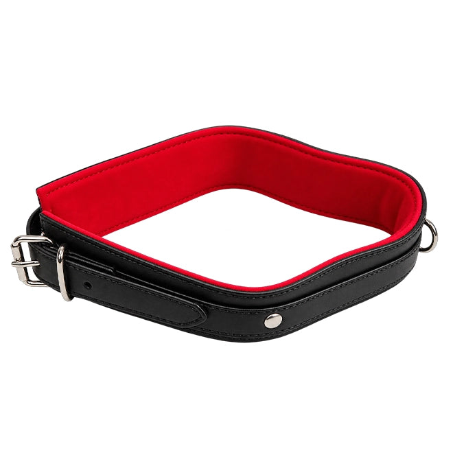 Collar And Chain Leash