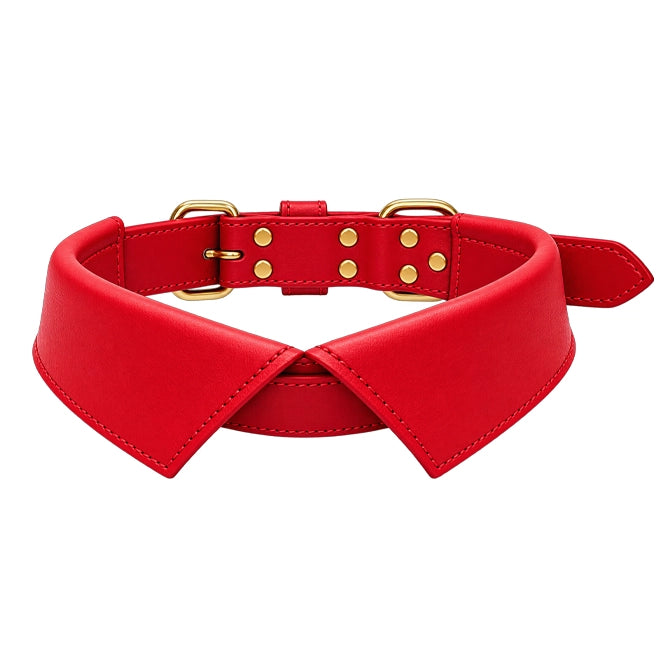Collar Neck