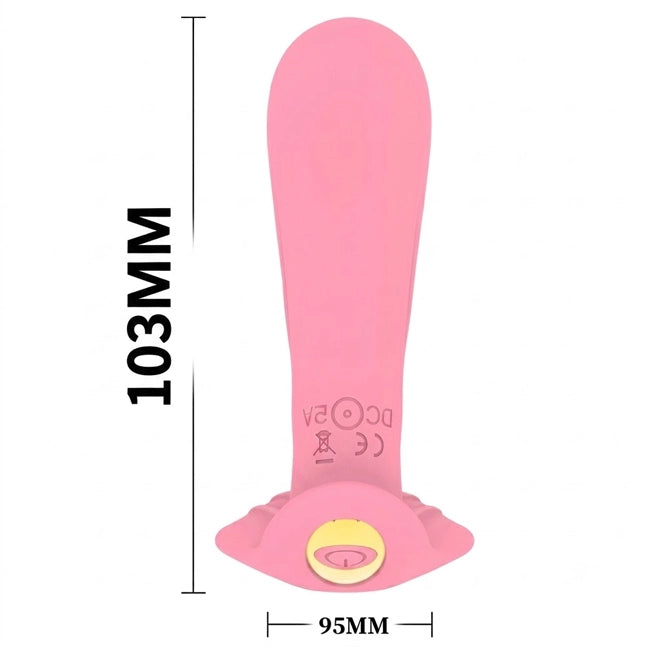 Wireless Remote